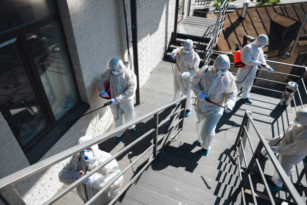 Best Mold Removal for HVAC Installations  in Sleepy Hollow, WY