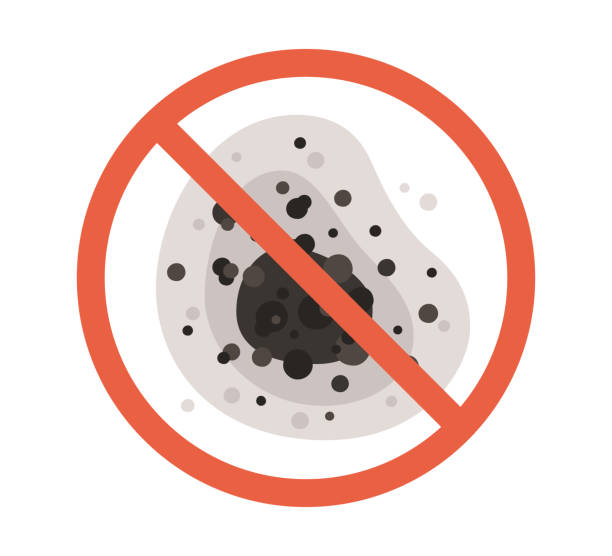 Best Dehumidification Services  in Sleepy Hollow, WY