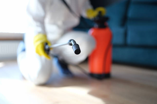 Trusted Sleepy Hollow, WY Mold Removal Experts