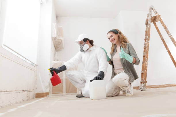 Best Industrial Mold Remediation  in Sleepy Hollow, WY